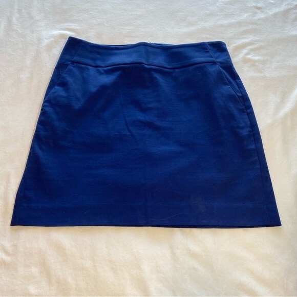 Ann Taylor Blue Mini Skirt Slash Pockets Luxurious Fabric Spandex Size 6 - Picture 1 of 9